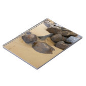 Carnet Sable et pierres (Côté gauche)