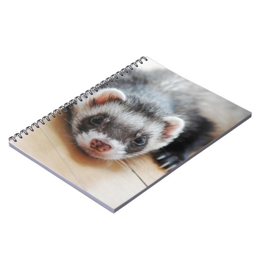 Carnet Sable Ferret (Côté gauche)