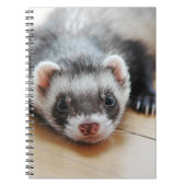 Carnet Sable Ferret (Devant)