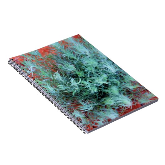 Carnet Sable vert sur sable rouge (Côté Droit)