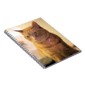 Carnet Sac à ficelle de chat (Côté Droit)