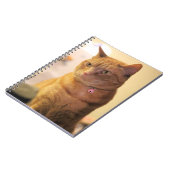 Carnet Sac à ficelle de chat (Côté gauche)