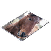CARNET SAD HORSE (Côté gauche)