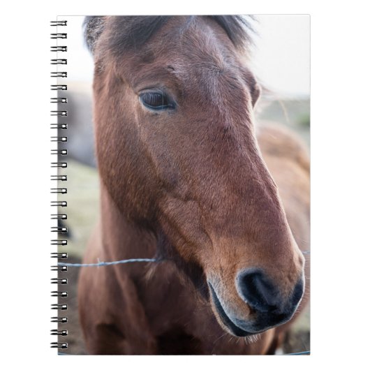 CARNET SAD HORSE (Devant)