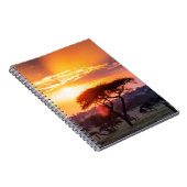 Carnet Safari dans le Parc National du Serengeti (Côté Droit)