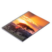 Carnet Safari dans le Parc National du Serengeti (Côté gauche)