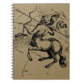 Carnet Sagittarius Constellation Hevelius 1690 Engraving (Devant)