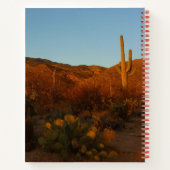 Carnet Saguaro Sunset I Arizona Désert Paysage (Dos)