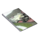 Carnet Saigneuse à sucre dormant dans la couverture (Côté Droit)