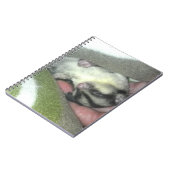 Carnet Saigneuse à sucre dormant dans la couverture (Côté gauche)