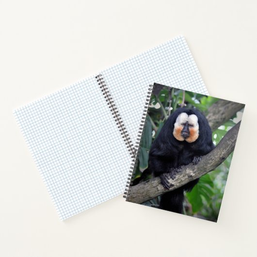 Carnet Saki (Intérieur)