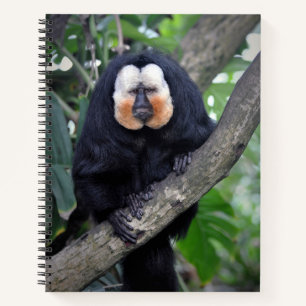 Carnet Saki