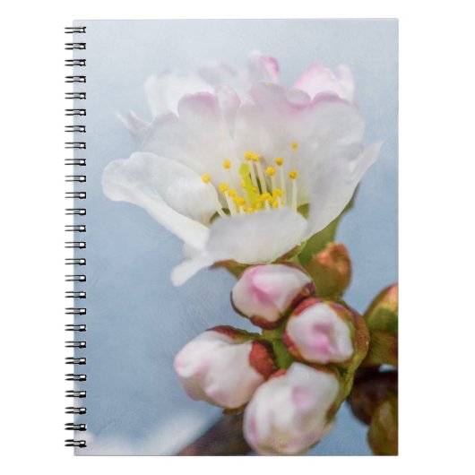 Carnet Sakura Blossom (Devant)