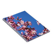 Carnet Sakura Cerry Blossoms Touché Bleu (Côté Droit)