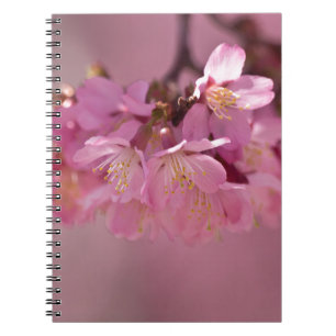 Carnet Sakura Cherry Blossoms Delicate Pink Bouquet