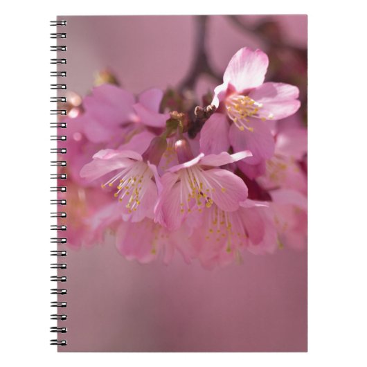 Carnet Sakura Cherry Blossoms Delicate Pink Bouquet (Devant)