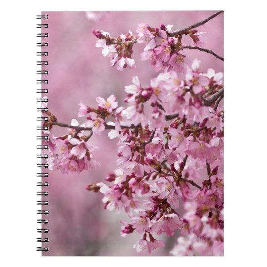 Carnet Sakura Cherry Blossoms Pastel Pink Layers (Devant)