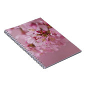 Carnet Sakura Cherry Blossoms rose pâle Réflexions (Côté Droit)