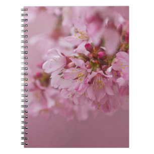 Carnet Sakura Cherry Blossoms rose pâle Réflexions