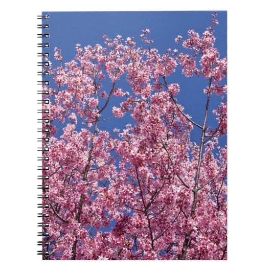 Carnet Sakura Cherry Fleurit Dans Le Bleu (Devant)