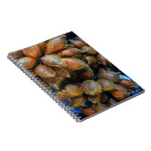 Carnet Salak [Fruit de serpent] (Côté Droit)