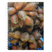 Carnet Salak [Fruit de serpent] (Devant)