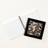 Carnet Salamandre dans la forêt, Oregon (Intérieur)
