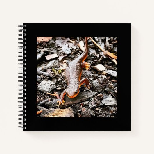 Carnet Salamandre dans la forêt, Oregon (Devant)