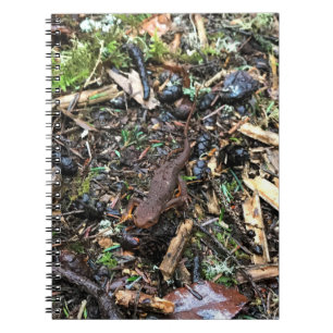Carnet Salamandre dans la forêt, Washington
