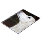 Carnet Saluki recherchant (Côté gauche)