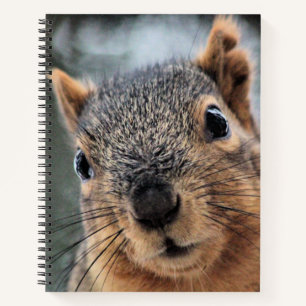 Carnet Salut
