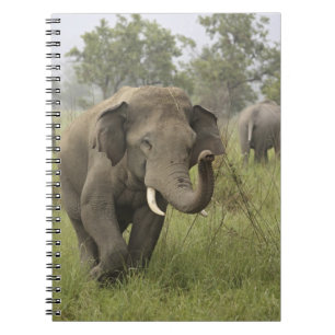 Carnet Salutation d'éléphant asiatique indien