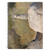Carnet Salutations amicales (Devant)