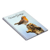 Carnet Salutations d'hiver. Rouge-gorge chantant (Côté Droit)