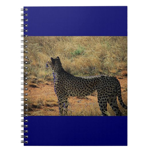 Carnet Samburu Cheetah (Devant)