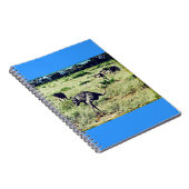 Carnet Samburu Ostriches (Côté Droit)