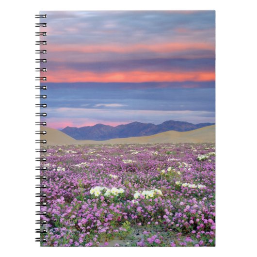 Carnet Sand Verbena & Dune Primrose Fleurs sauvages au co (Devant)