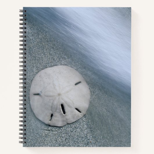 Carnet Sanddollar sur la plage | Sanibel Island, Floride (Devant)