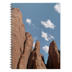 Carnet Sandstone Fins Utah Desert Photo