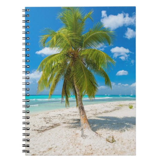 Carnet Sandy beach with tropical palm tree (Devant)