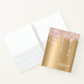 Carnet Satiny Gold - Parties scintillant roses pilules Mo (Intérieur)