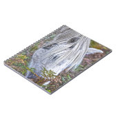 Carnet Saule blanc Nouvelle Forêt Pony Pacé sur le Bracke (Côté gauche)