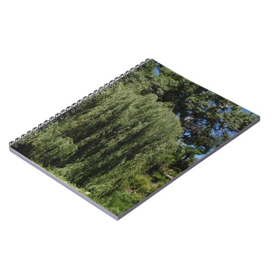 Carnet Saule pleurant (Côté gauche)