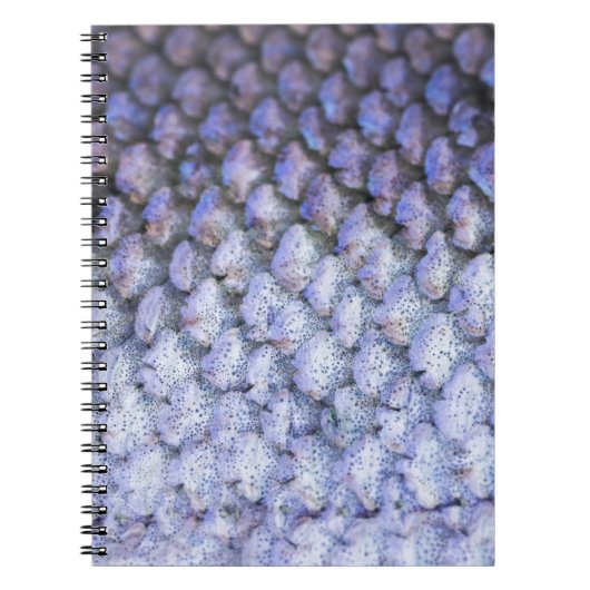 Carnet Saumon chatoyant (Devant)