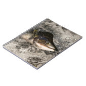 Carnet Saumon de saut (Côté gauche)