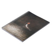 Carnet Saut des poissons 2012 (Côté gauche)