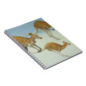 Carnet Saut en avant (Côté Droit)