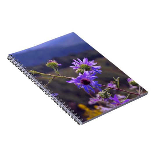 Carnet sauvage d'asters (Côté Droit)