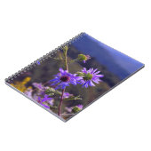 Carnet sauvage d'asters (Côté gauche)