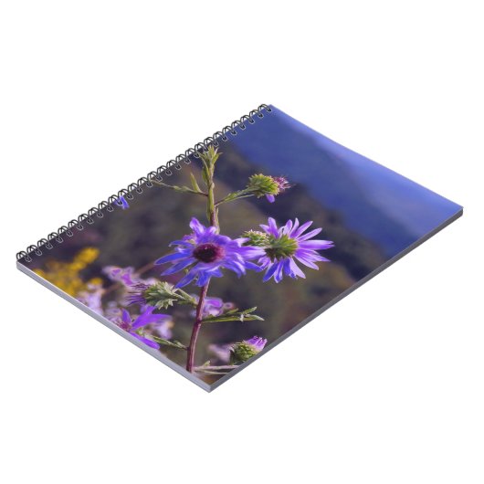 Carnet sauvage d'asters (Côté gauche)